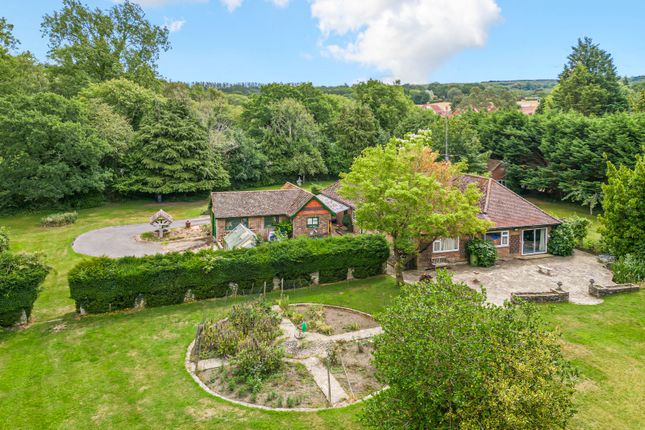 Thumbnail Bungalow for sale in Tilford Road, Churt, Farnham