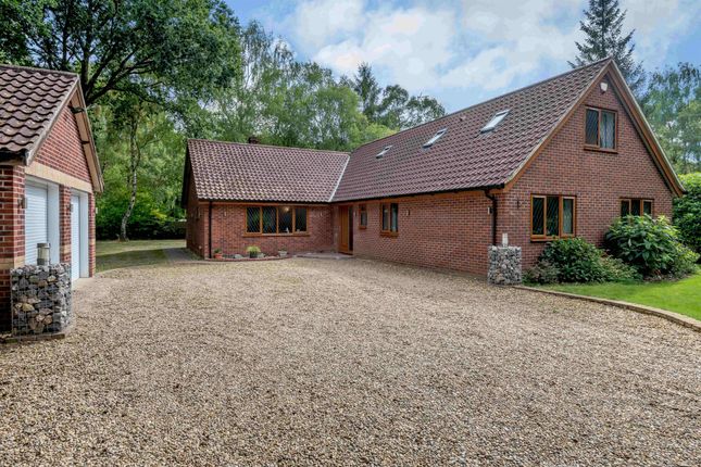 Thumbnail Detached house for sale in The Wilderness, Stratton Strawless, Norwich