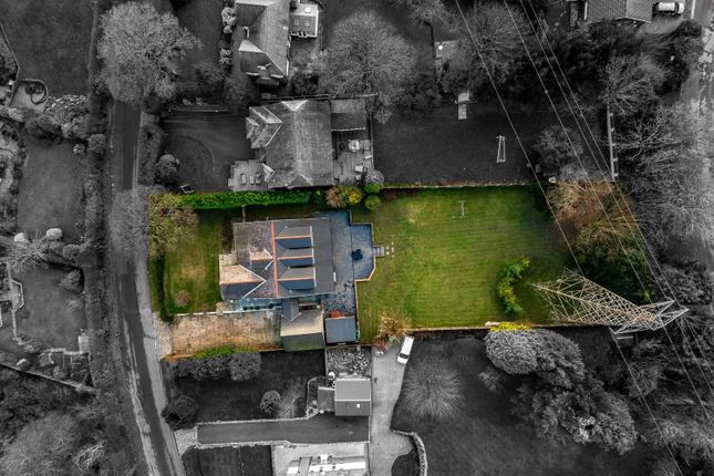 Dji_0463-2.Jpg