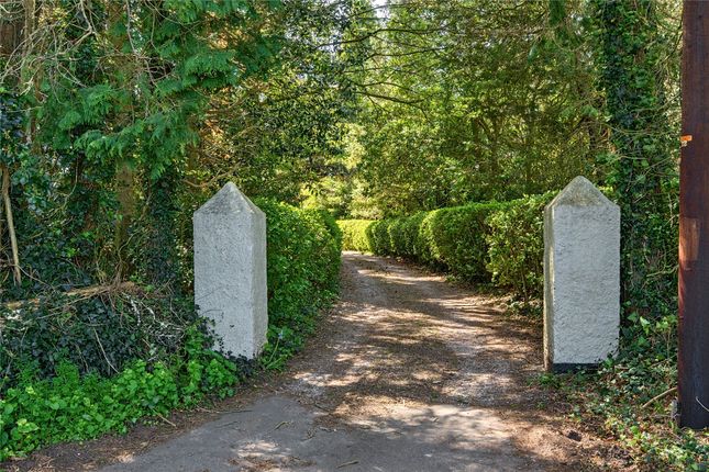 Shortwood House,, Bear Lane, Devon photo 4
