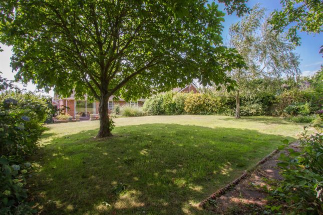 Detached bungalow for sale in North Way, Seaford