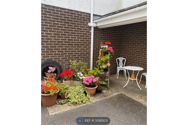 Marldon, Paignton photo 4