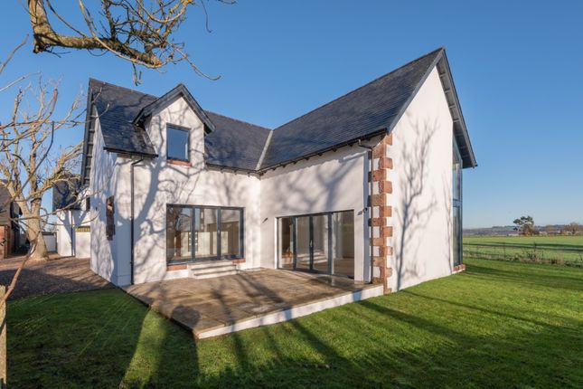 Thumbnail Link-detached house for sale in Cotton Of Colliston, Arbroath, Angus