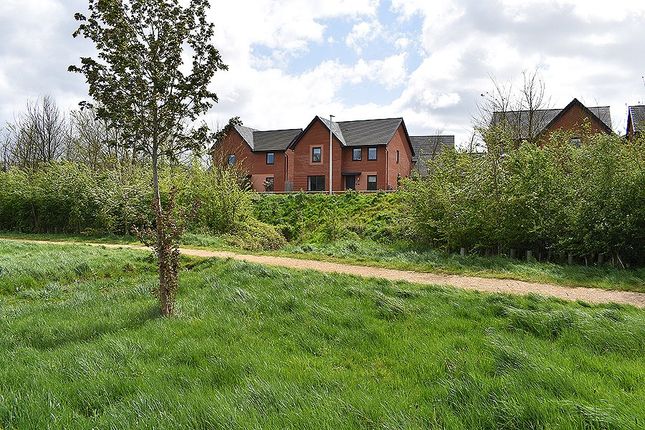 Thumbnail Detached house for sale in Ford Way, Tithebarn, Exeter