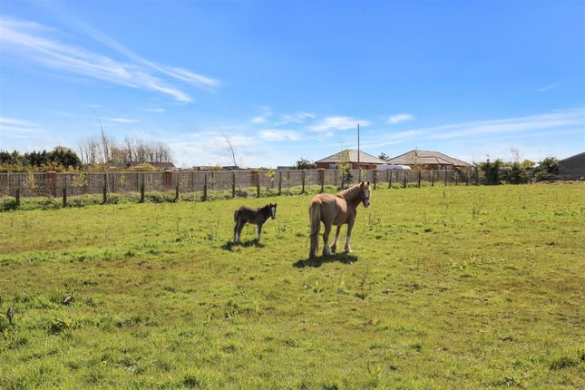 Detached house for sale in The Parks, Flemming Field, Shotton Colliery