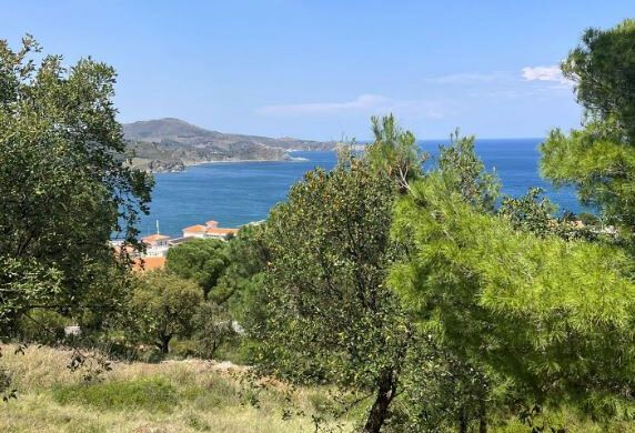 Property for sale in Banyuls Sur Mer, Languedoc-Roussillon, 66650, France