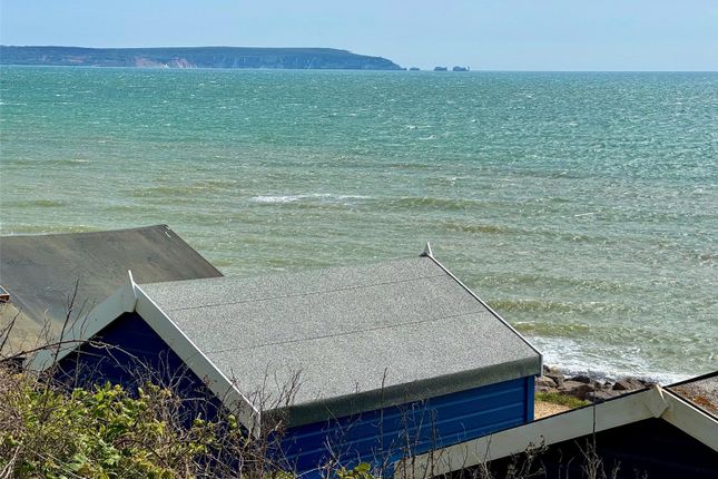 Beach Hut,,, B17, Barton On Sea photo 4