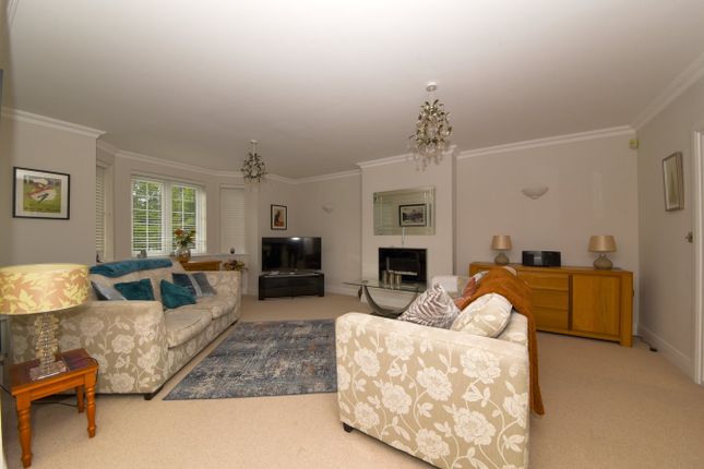 2 Abbeydale, Monks Lane, Newbury photo 4