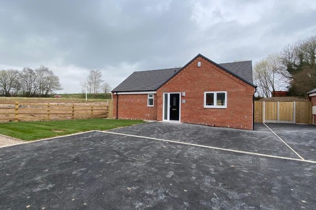 Detached bungalow to rent in Off Holt Lane, Kingsley, Stoke-On-Trent