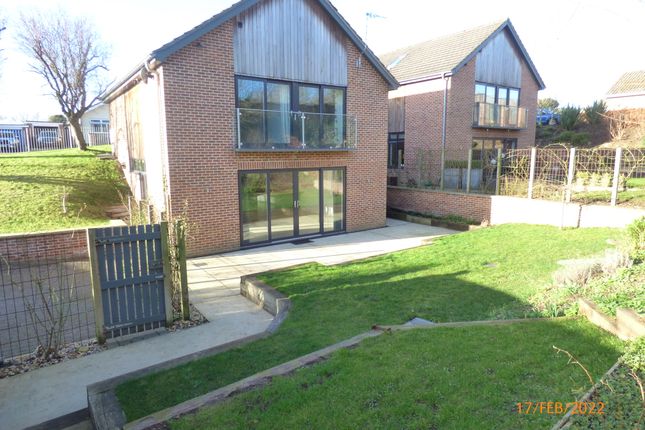 Thumbnail Detached house to rent in Willow Close, Wortwell, Harleston