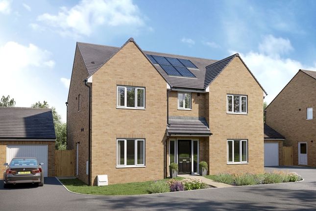 Detached house for sale in "The Wayford - Plot 50" at Samphire Meadow, Blackthorne Avenue, Frinton-On-Sea