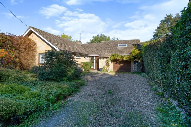 Thumbnail Bungalow for sale in Little Norton, Norton Sub Hamdon, Stoke-Sub-Hamdon, Somerset