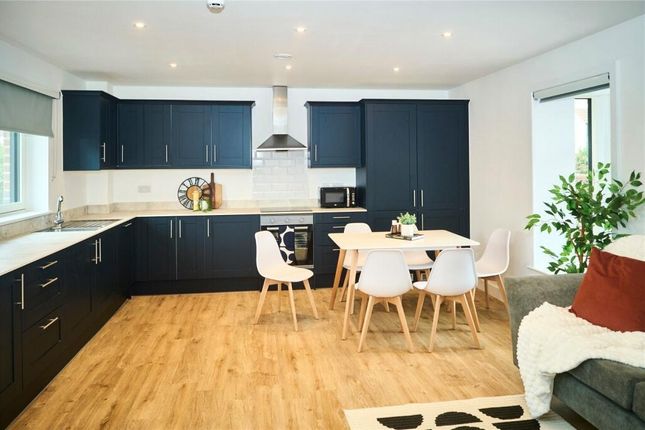 Bright And Modern Kitchen With Sleek Navy Cabinetr...