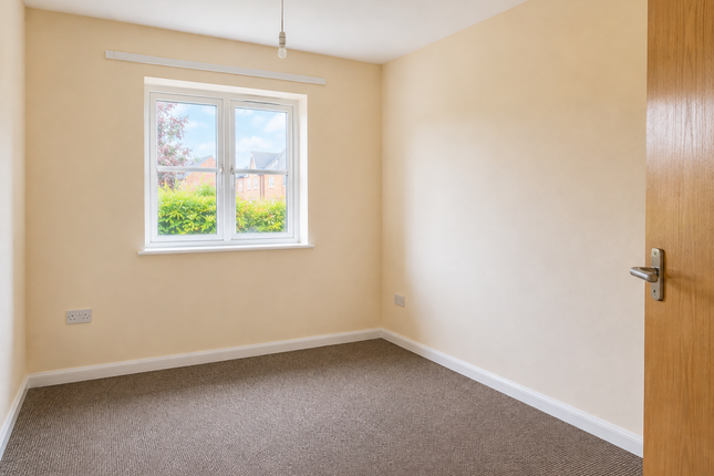 18, Northampton photo 5