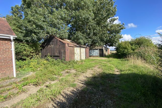 Ballacraine, Lowgate, Fleet photo 4