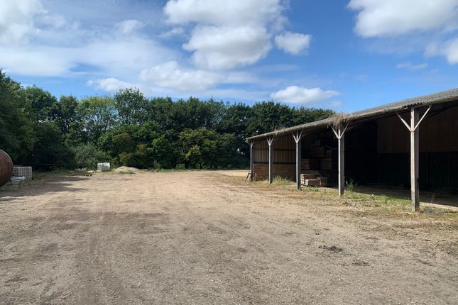 Long Beach Farm , Thurlands Drove, Upwell photo 5