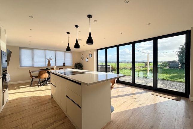 Wold View, Ratten Row, Scarborough photo 2