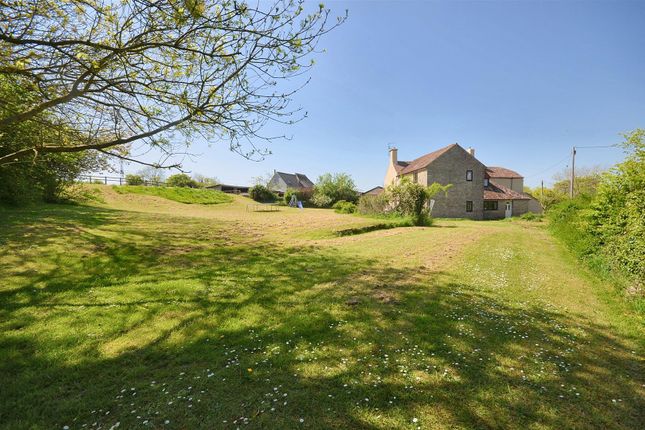 Boys Hill Farm, Boys Hill Drove, Sherborne photo 4