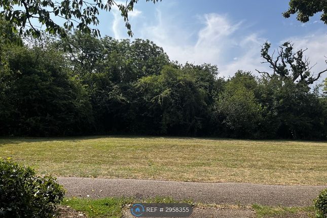 Rosebay Close, Walnut Tree, Milton Keynes photo 5