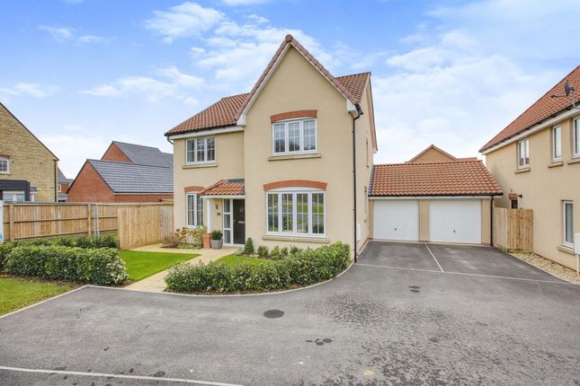 Thumbnail Detached house for sale in Deers Leap Drive, Wells