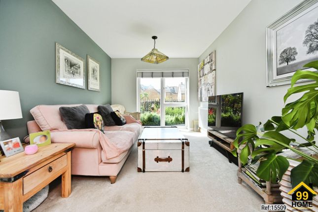42, Celandine, Newhaven photo 3