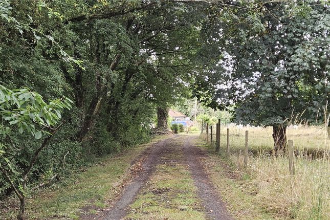 The Rose Cottage,, Shaftesbury Road, Warminster photo 2