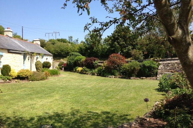 Garden Lawn Y Cwm.Jpg