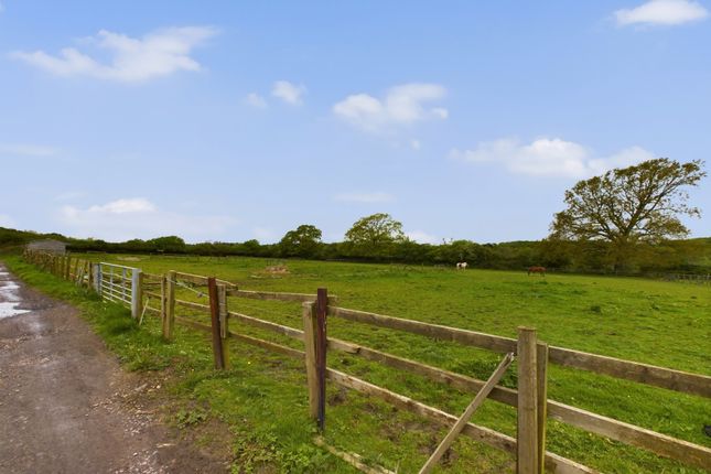 Thumbnail Equestrian property for sale in Funtley Road, Fareham