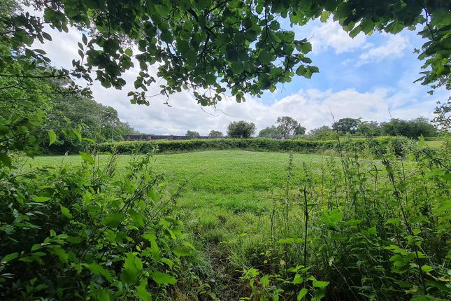 Off-Lying Paddock
