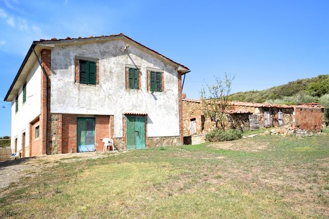 Thumbnail Detached house for sale in Castiglione D'orcia, Castiglione D'orcia, Toscana
