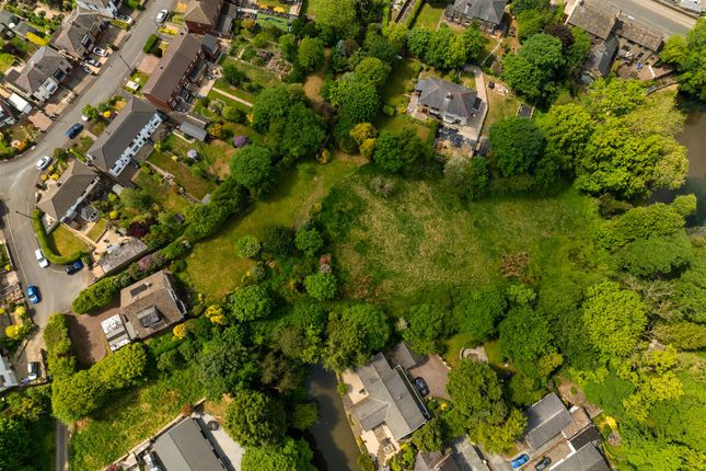 2 Acres-8.Jpg