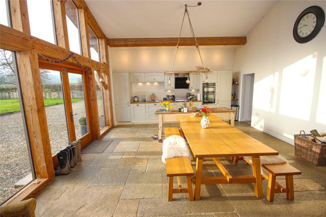 Lent Lily Cottage,, Shute, Shute photo 4
