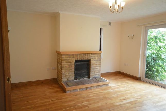 Detached house to rent in Cat Street, Chiselborough, Stoke-Sub-Hamdon