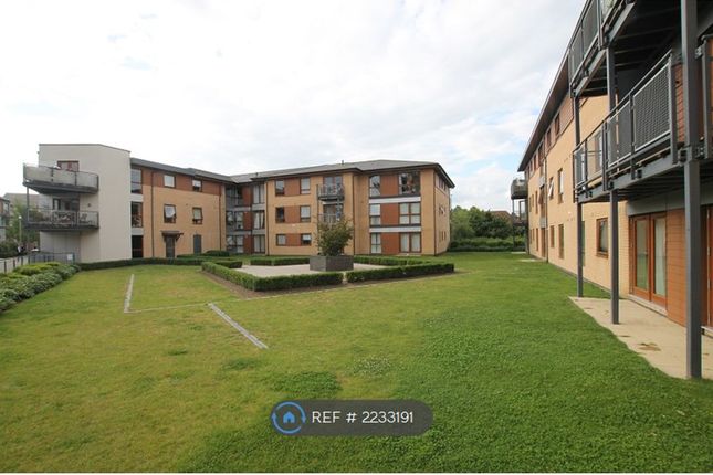 Thumbnail Flat to rent in Commonwealth Drive, Crawley