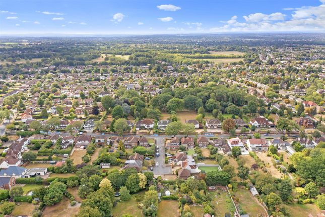 Dji_0585.Jpg