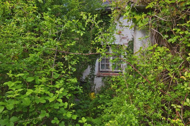 Edge Of Beyond,, Tiley, Dorset photo 4