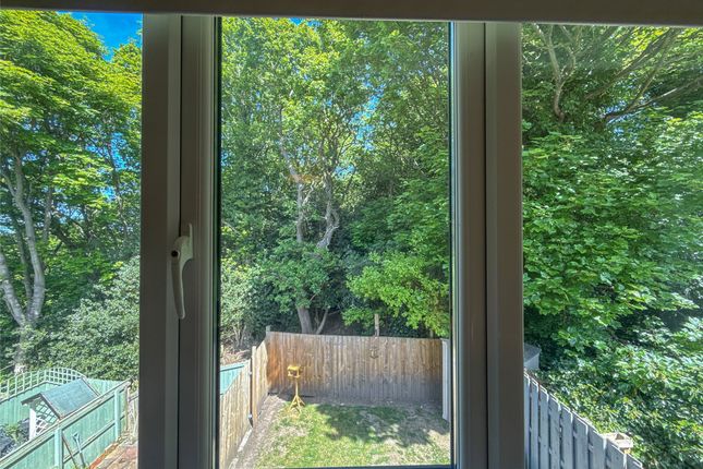 Window View