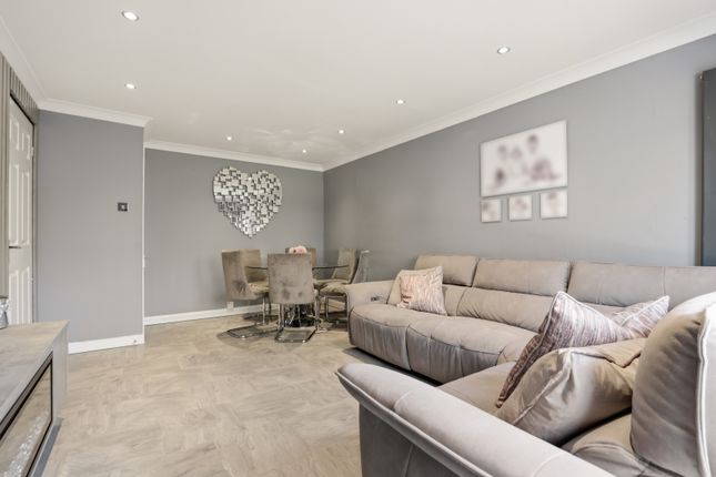 10 Alsh Terrace, Hamilton photo 4