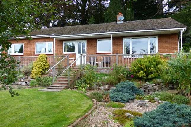 Thumbnail Detached bungalow for sale in North Avenue, Ashbourne