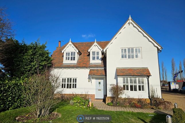 Detached house to rent in Mersea Road, Peldon, Colchester CO5