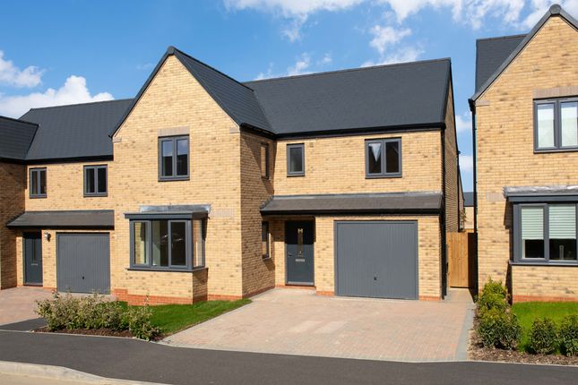 Detached house for sale in "Exeter" at Nuffield Road, St. Neots
