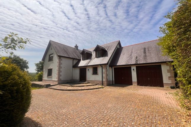 Llys-Y-Wennol, LLwyndafydd, Llandysul photo 3