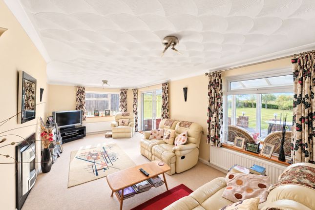 Staplehurst photo 3