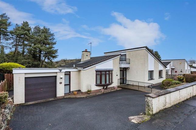 Detached bungalow for sale in The Drumlins, Ballynahinch