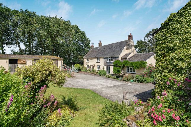Honeycott Farm, Sampford Courtenay, Okehampton, Devon photo 3