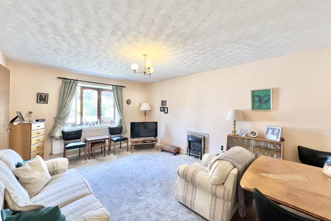 8, Geldof Drive, North Shore photo 4