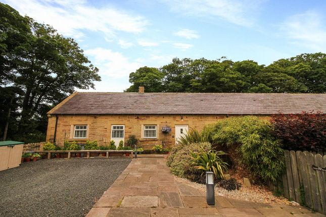 Thumbnail Bungalow for sale in Cresswell Home Farm, Cresswell, Morpeth