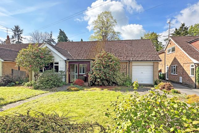Detached bungalow for sale in Cedar Close, Horsham