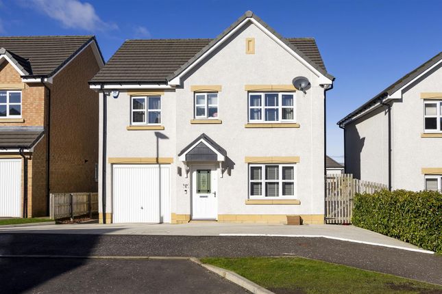 Thumbnail Detached house for sale in Dochart Drive, Glasgow