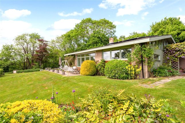 Thumbnail Detached house for sale in Brighton Road, Woodmancote, Henfield, West Sussex